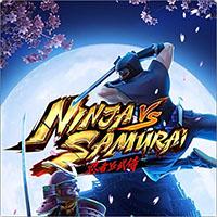 ninja-vs-samurai.jpg